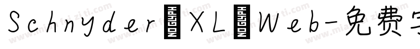 Schnyder XL Web字体转换